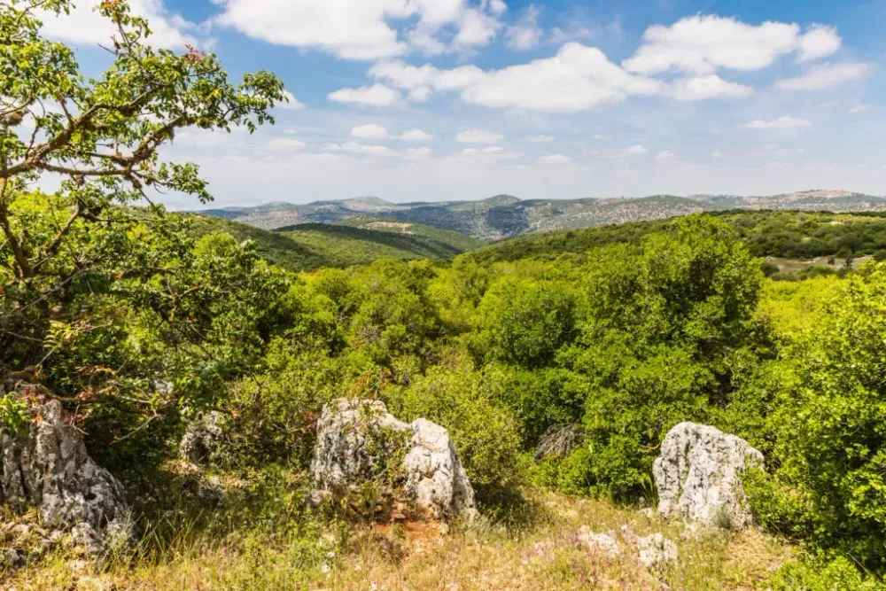 Ajloun Forest as seen from the Roe Deer Trail in Jordan